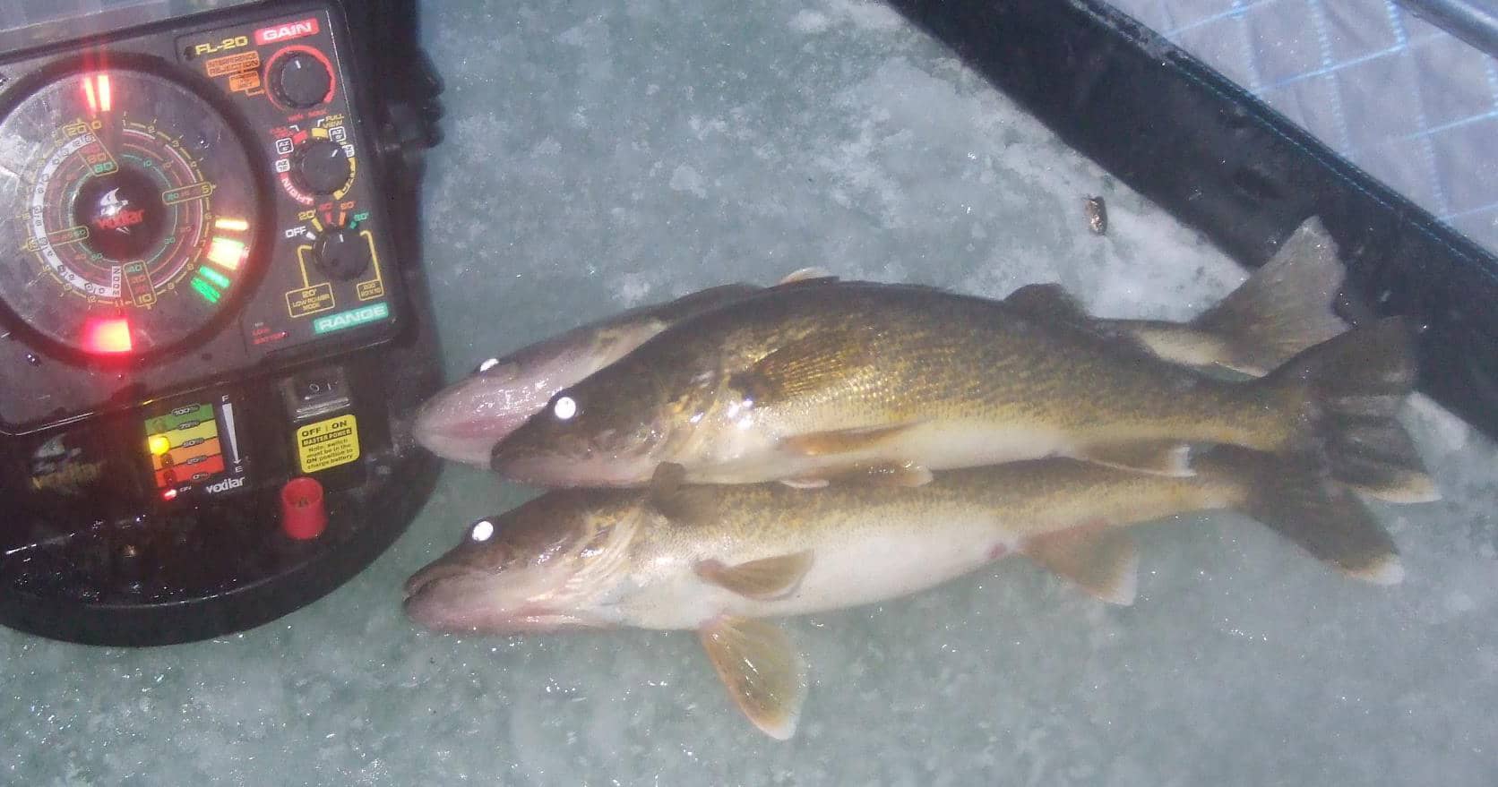 In Devils Lake, 'Perch Fishing is our Big Winter Deal