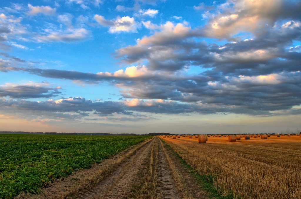 North Dakota Small Grain County-Level Estimates Available - Vimarsana News