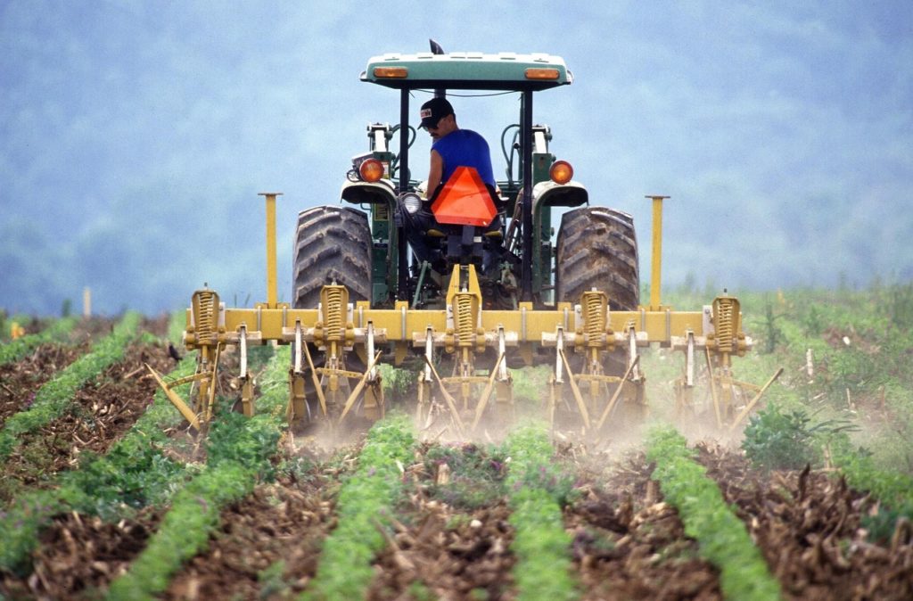 Some No-till Crop Rotations on Dairy Farms Could Benefit from Strategic Tillage - Vimarsana News