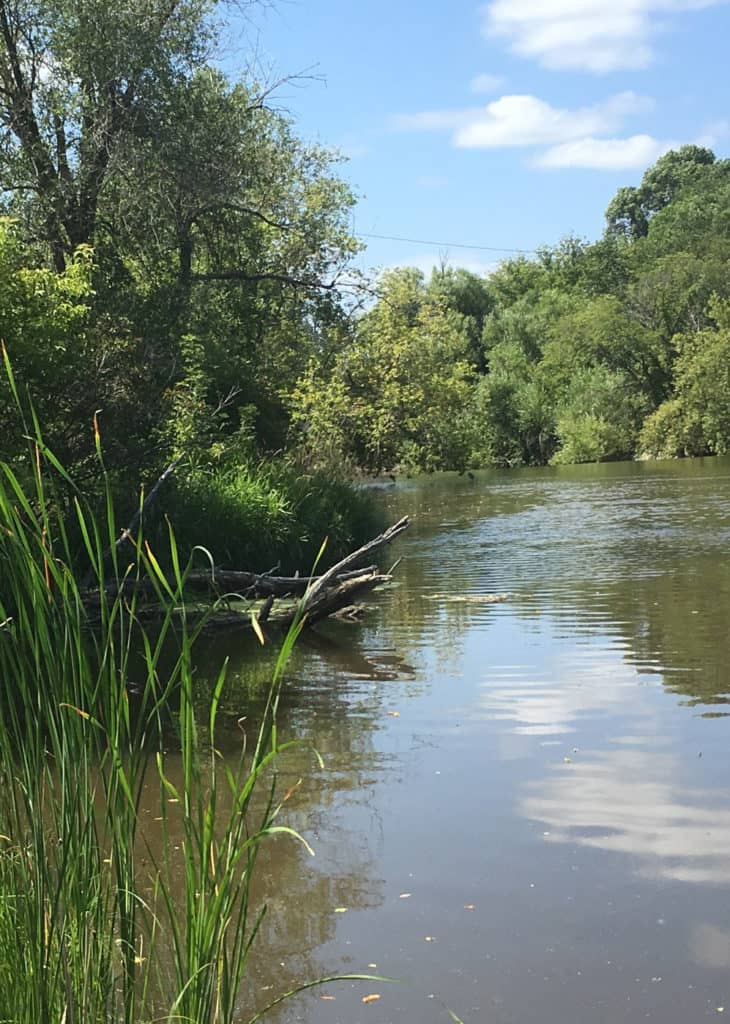 Shore Angling Suggestions - Vimarsana News