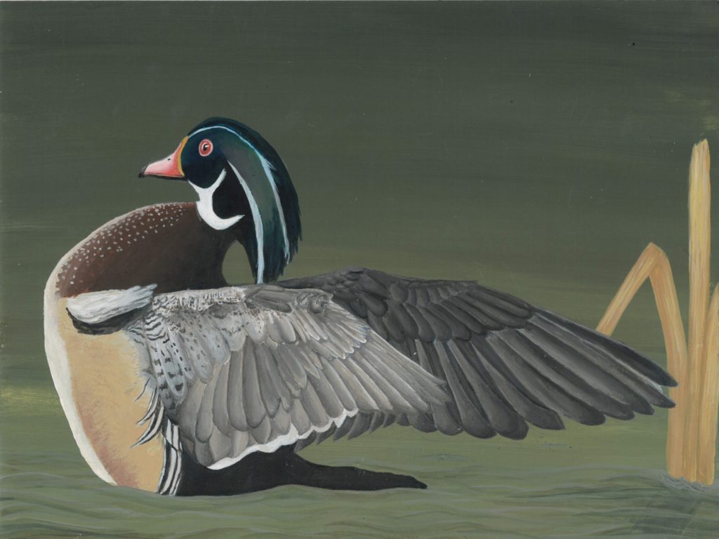 North Dakota Junior Duck Stamp Winners - Vimarsana News