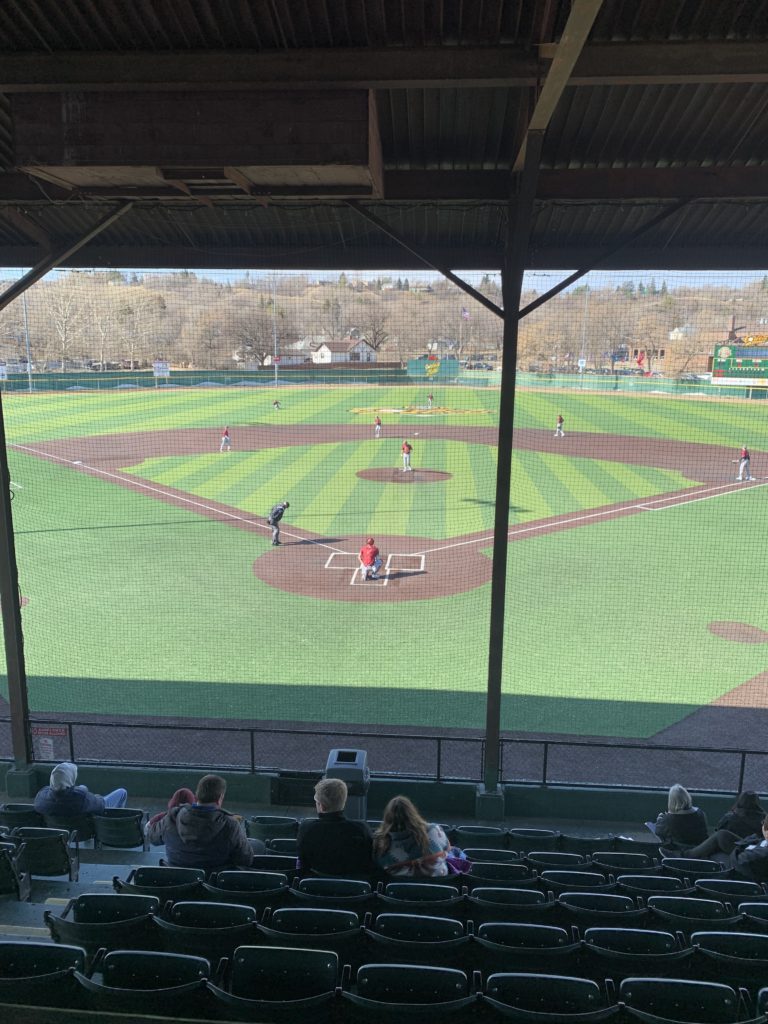 Carrington Pitching Combines for No-Hitter Against South Prairie/Max Royals - Vimarsana News