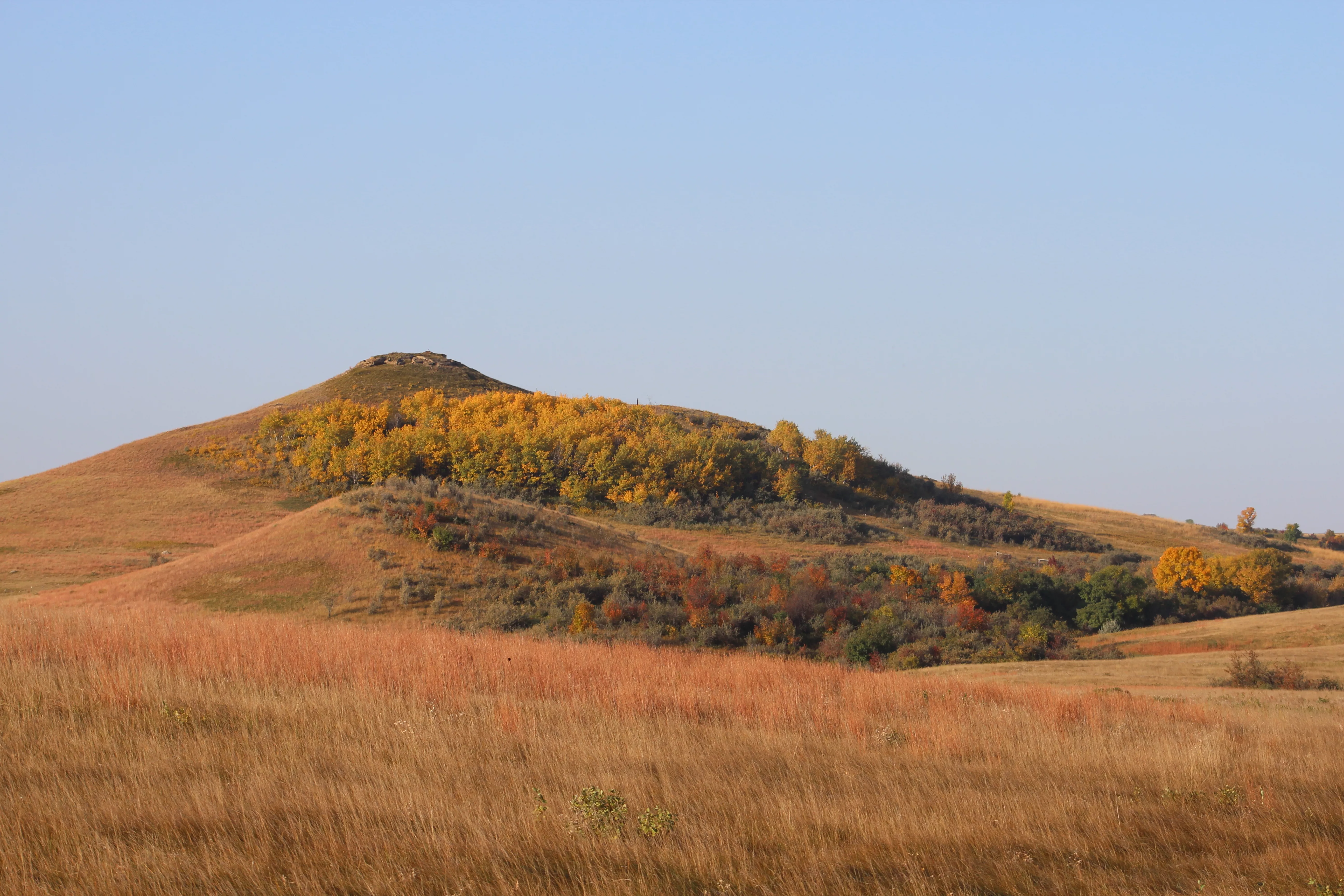 fallhillside