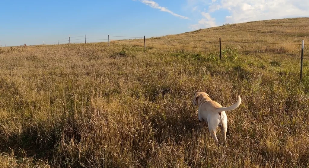 Our Outdoors: Did You Check the Truck? - Vimarsana News