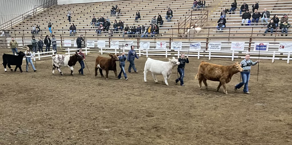 North Star Classic News Dakota