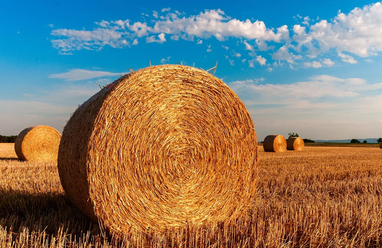 hay-bales-726976_1280-3