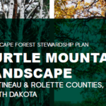 turtle-mountain-landscape-forest-stewardship-plan-full