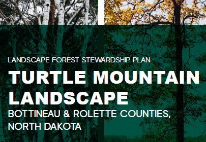 turtle-mountain-landscape-forest-stewardship-plan-full