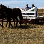 Plow Fest: Daryl and Cheryl Smith giving hay rides to Plow Fest attendees.