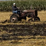 Plow Fest: Steve Urness on an International A tractor plowing.