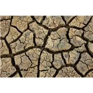 drought-jpg-4