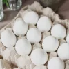 white-eggs-jpeg-2