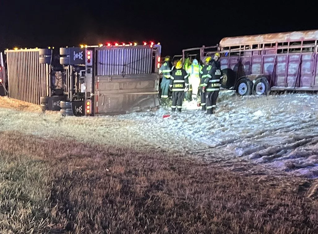 cattle-trailer-crash