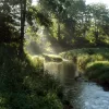 stream2-2