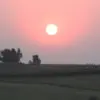 smokesun
