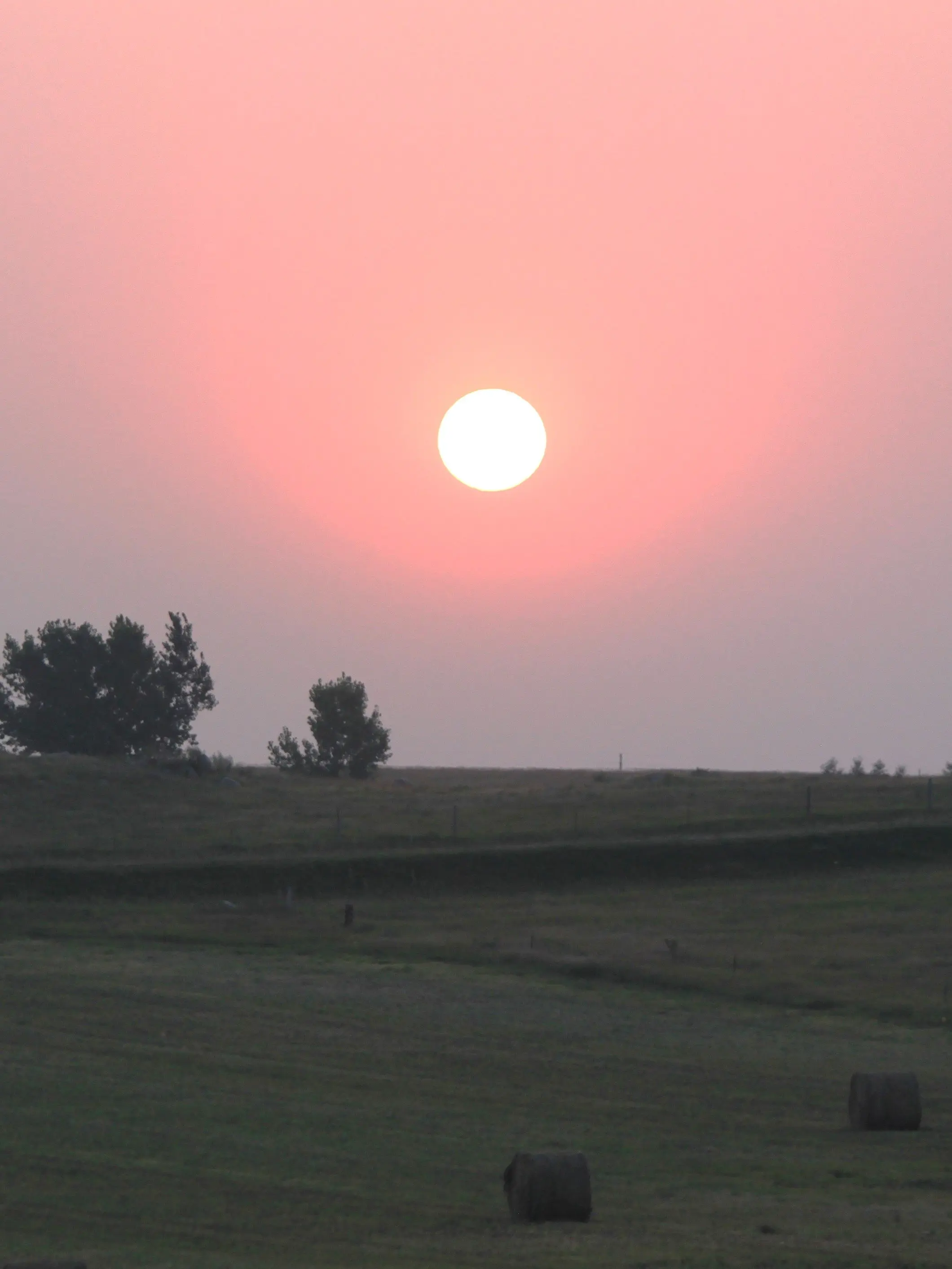smokesun