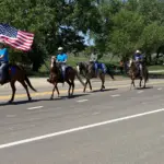Flag Day Parade