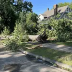 Tree damage Valley City