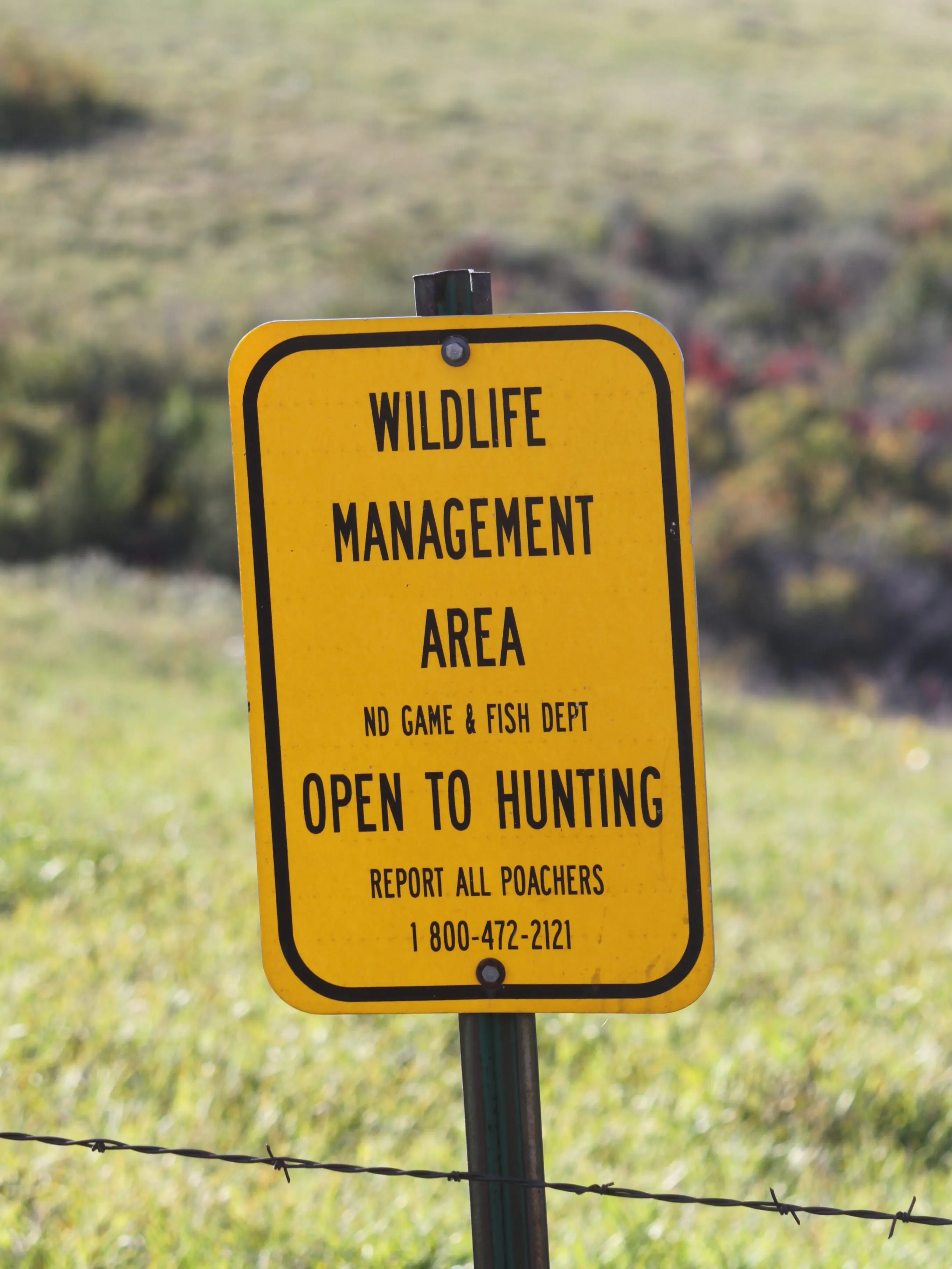 wmasign-3
