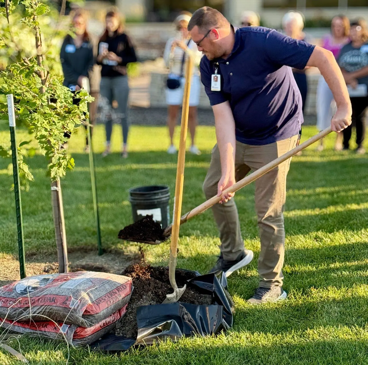 tree-planting-edited