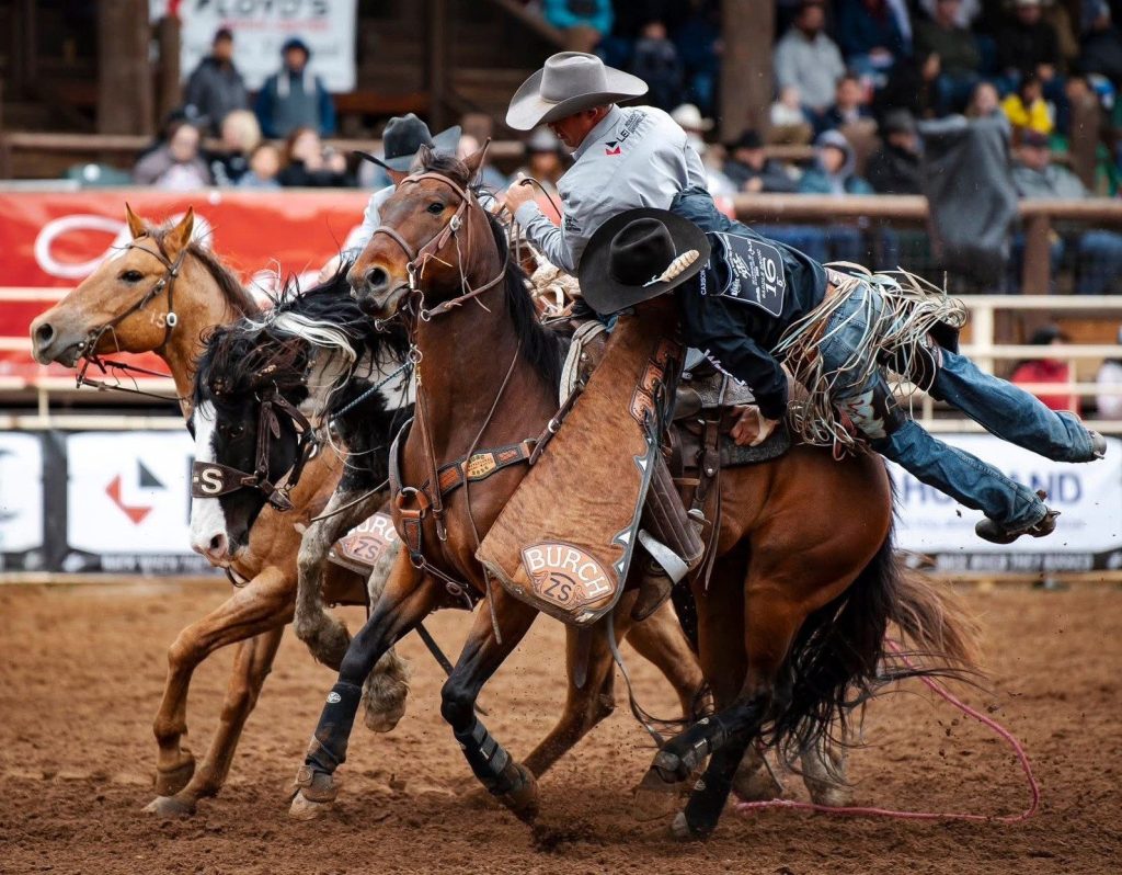 Cruisers Rodeo Top Rodeo Hands Selected to Work Badlands Circuit Rodeo | News Dakota