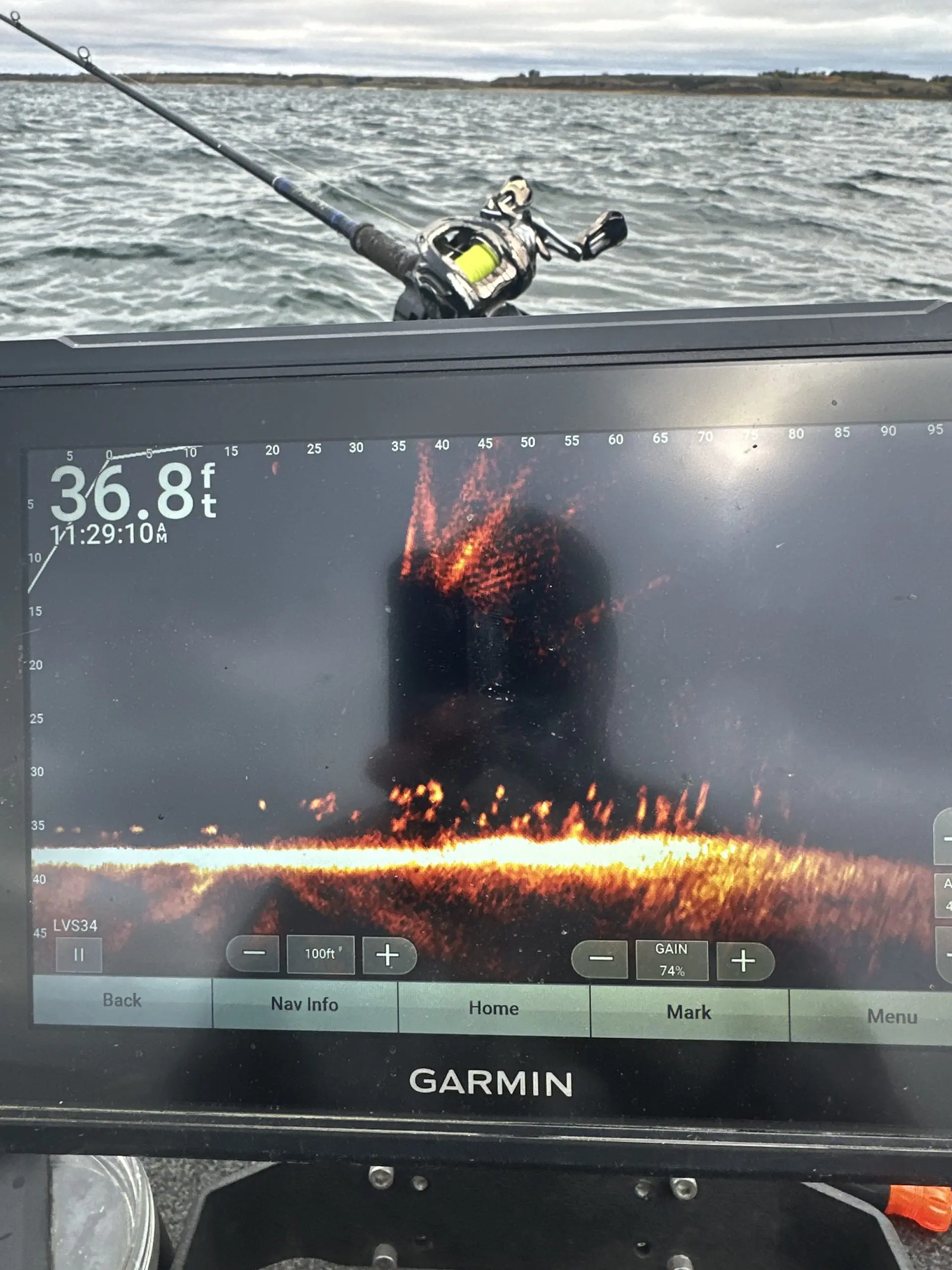 peluso-graph-9-23-25