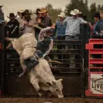 Brody Nelson: by Rock-n-Daisy