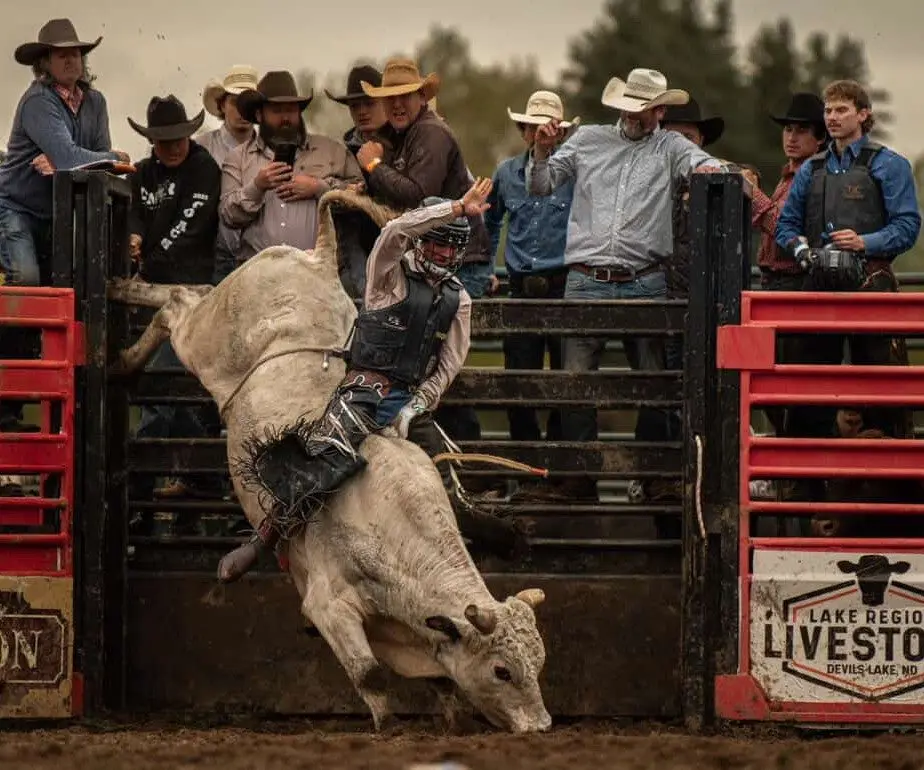 brody-nelson-by-rock-n-daisy