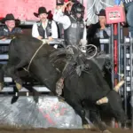 img_2697www-cowboyimages-net