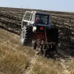 Plowing Bee