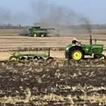 Plowing Bee