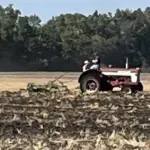Plowing Bee