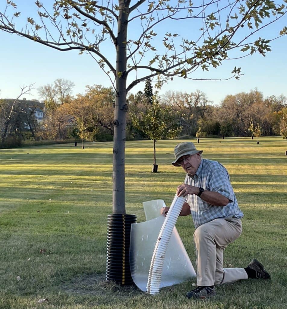 The Benefits of Tree Protection | News Dakota