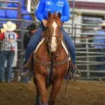 Samantha Fulton: Samantha Fulton rides the Badlands Breakaway Horse of the Year, Purr N IN the Sand, owned by Sam Jorgenson, out of the arena at the 2025 Badlands Circuit Finals. Photo by Jackie Jensen