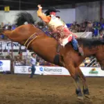 Collect Call with Shane Oconnell: Photo by Jackie Jensen.