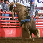 Maserati with Dylan Rice: Photo by Jackie Jensen.