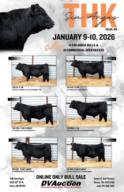 screenshot-2026-01-05-111846