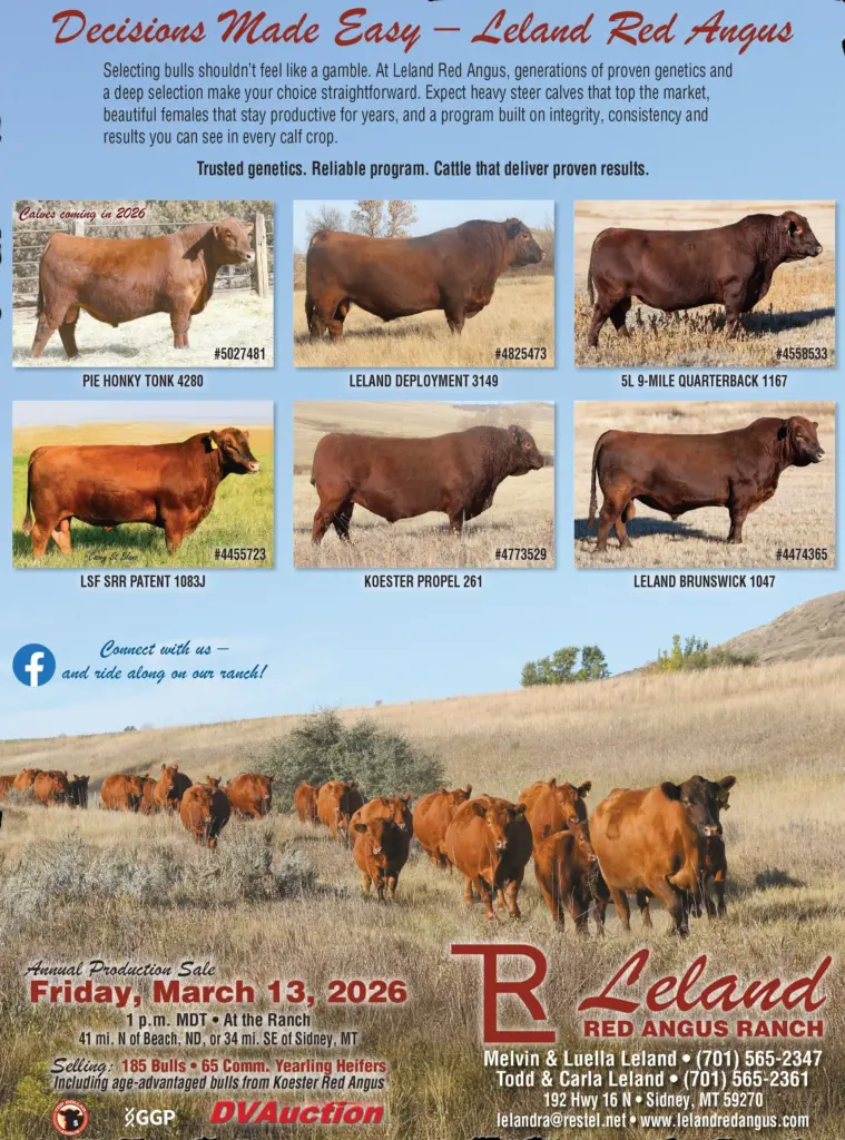 leland_ram_1-2026-indd-2