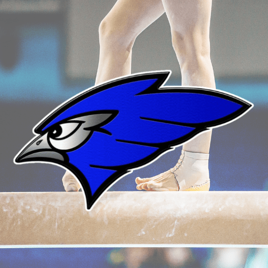 JHS Gymnastics 3rd At 2026 Mandan Invitational