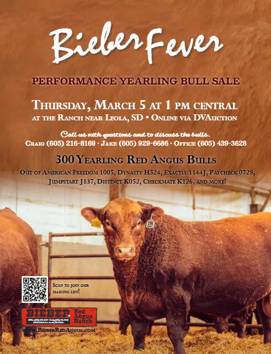 screenshot-2025-12-15-141442