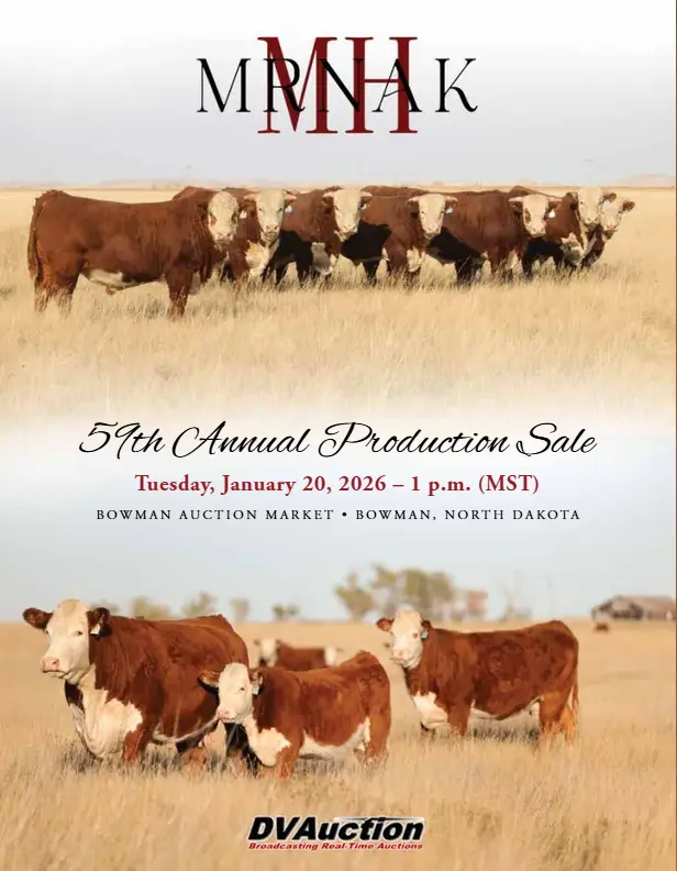 nodakti_253294596672067_6428433335148995893_mrnak