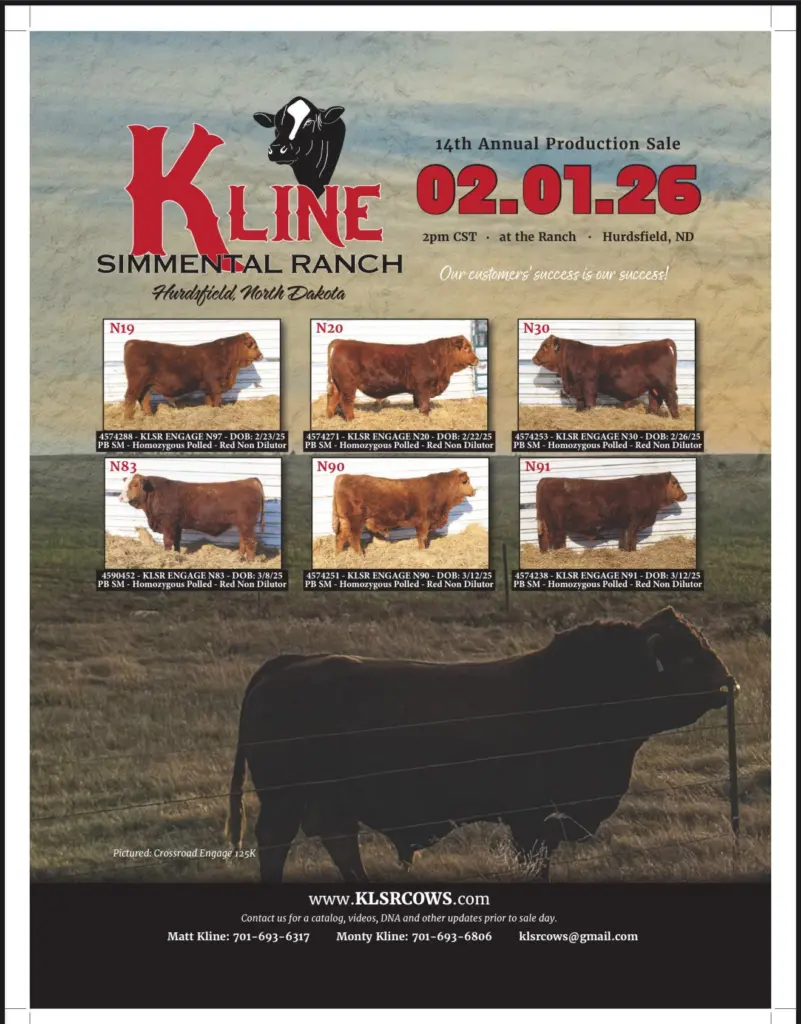 602015062_1261709232653786_1975602070366756535_n