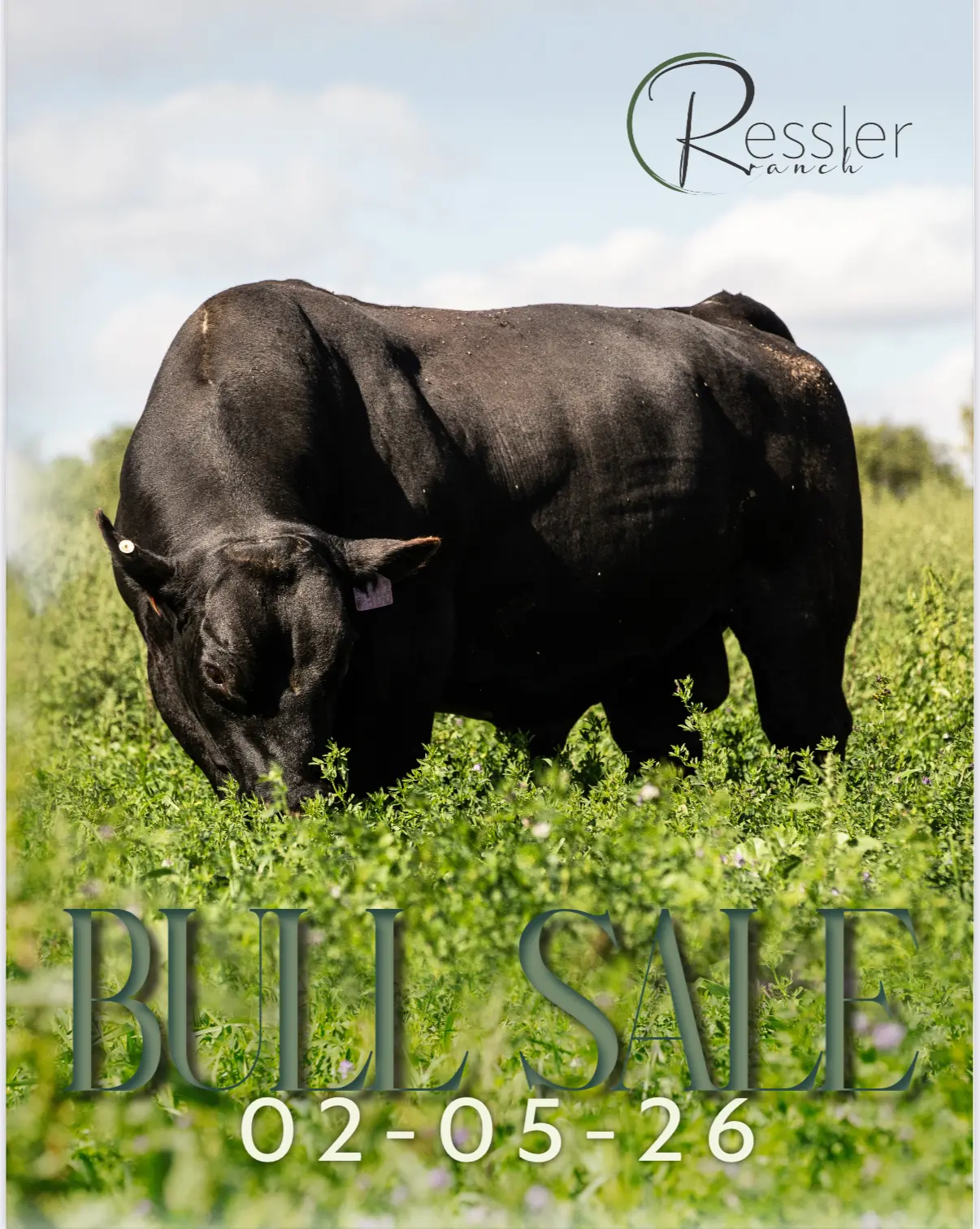 Ressler Ranch – Annual Production Bull Sale