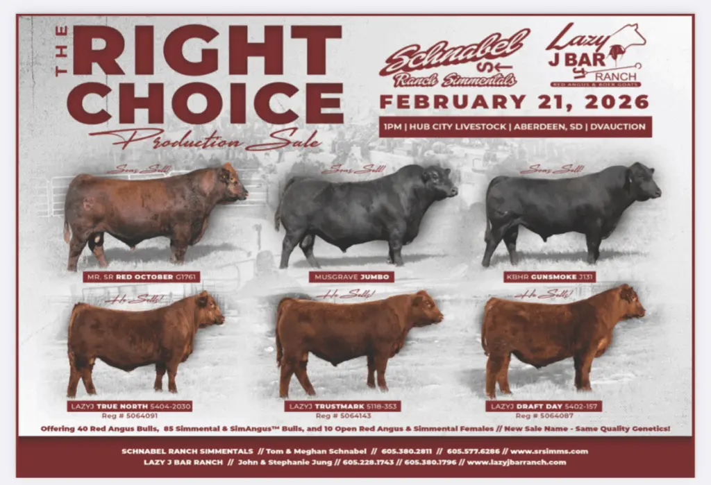 screenshot-2026-01-08-at-9-29-20-am