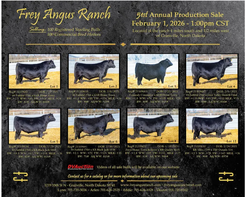 frey-angus-flyer