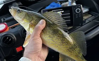 peluso-ice-eye-1-6-26