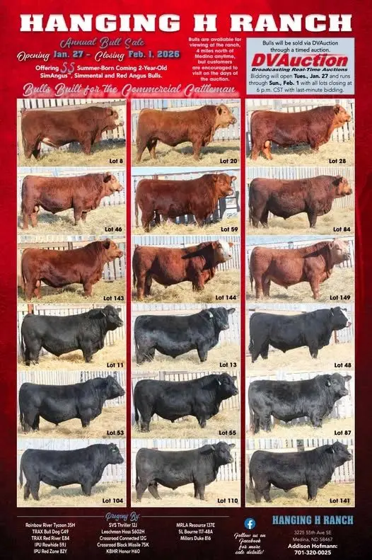 600362192_1256000973210945_5491267494414730624_n