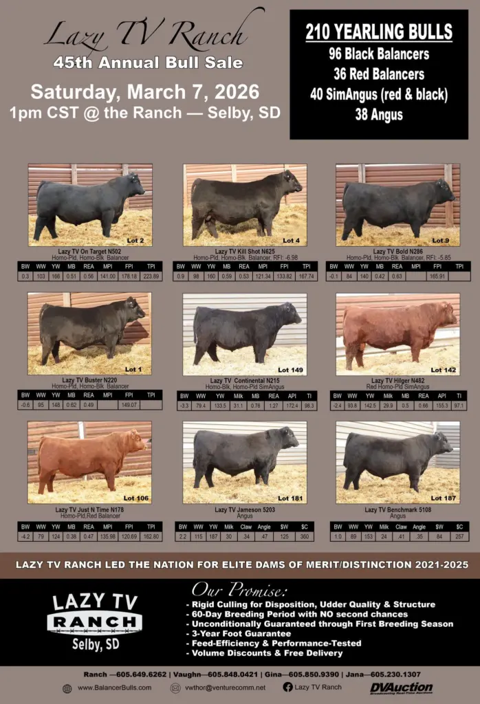 621711553_1445577830687119_4292237243628865607_n