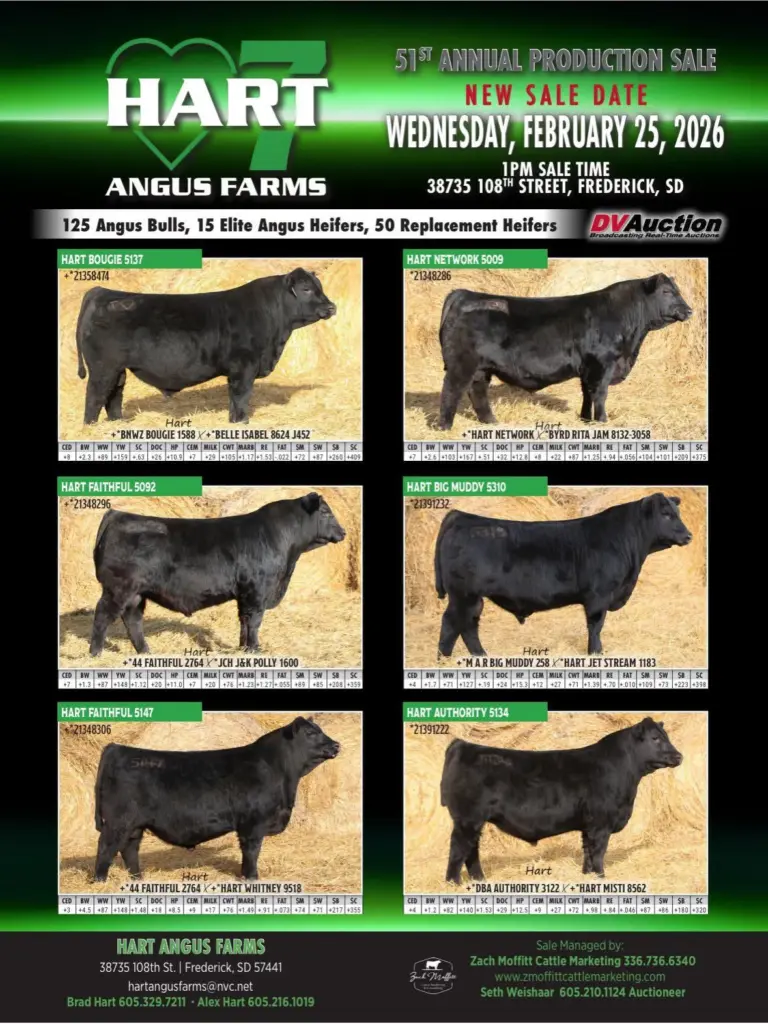 616830405_1320032003502760_3326019975973883205_n