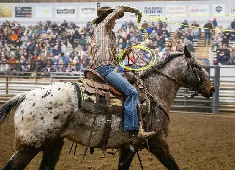 north-dakota-winter-show-4